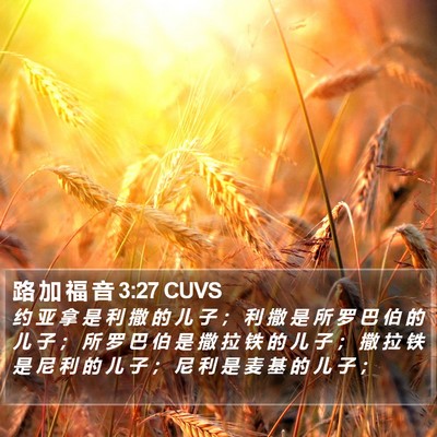 路 加 福 音 3:27 CUVS Bible Verse Image