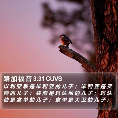 路 加 福 音 3:31 CUVS Bible Verse Image