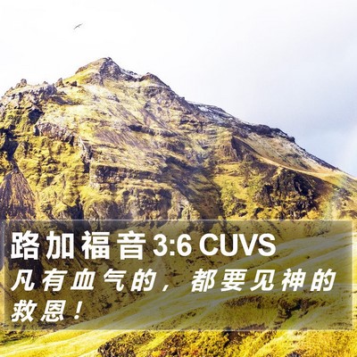 路 加 福 音 3:6 CUVS Bible Verse Image