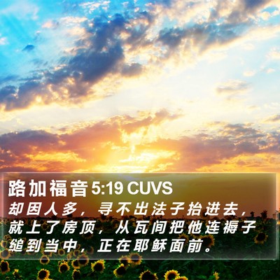 路 加 福 音 5:19 CUVS Bible Verse Image
