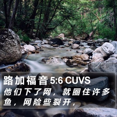 路 加 福 音 5:6 CUVS Bible Verse Image
