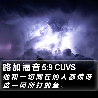 路 加 福 音 5:9 CUVS Bible Verse Image