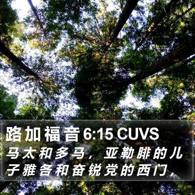路 加 福 音 6:15 CUVS Bible Verse Image