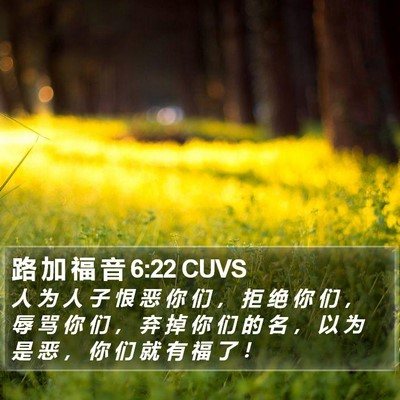路 加 福 音 6:22 CUVS Bible Verse Image