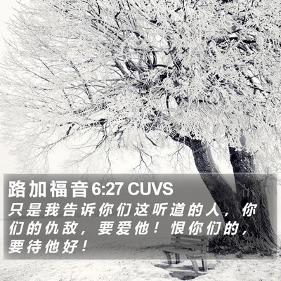 路 加 福 音 6:27 CUVS Bible Verse Image