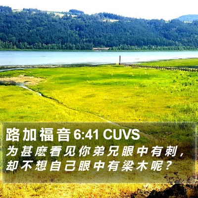 路 加 福 音 6:41 CUVS Bible Verse Image