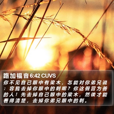 路 加 福 音 6:42 CUVS Bible Verse Image