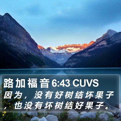路 加 福 音 6:43 CUVS Bible Verse Image