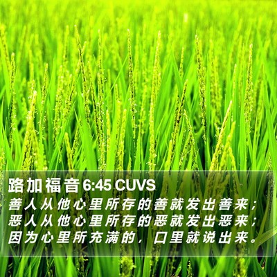 路 加 福 音 6:45 CUVS Bible Verse Image