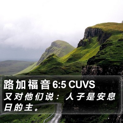 路 加 福 音 6:5 CUVS Bible Verse Image