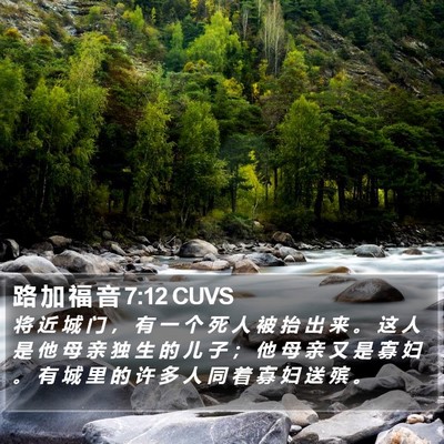 路 加 福 音 7:12 CUVS Bible Verse Image