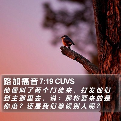 路 加 福 音 7:19 CUVS Bible Verse Image