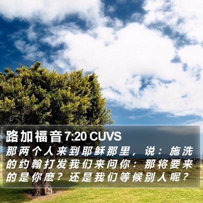 路 加 福 音 7:20 CUVS Bible Verse Image
