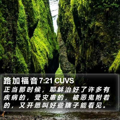 路 加 福 音 7:21 CUVS Bible Verse Image