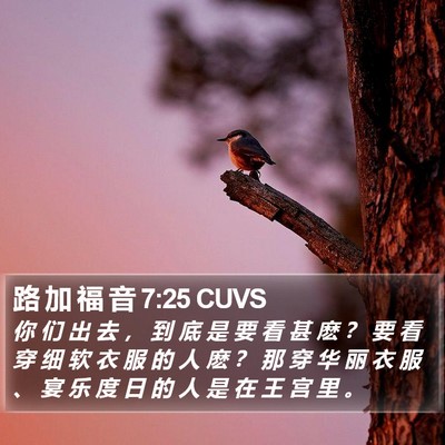 路 加 福 音 7:25 CUVS Bible Verse Image