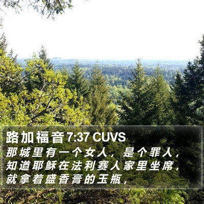 路 加 福 音 7:37 CUVS Bible Verse Image