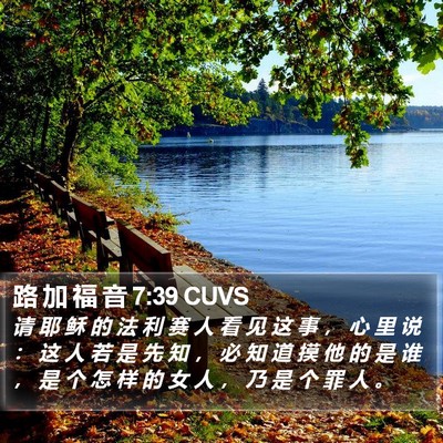 路 加 福 音 7:39 CUVS Bible Verse Image