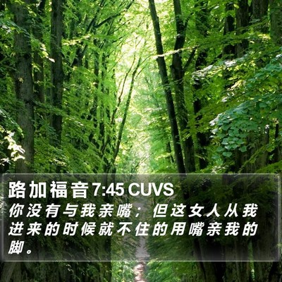 路 加 福 音 7:45 CUVS Bible Verse Image