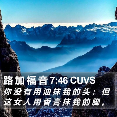 路 加 福 音 7:46 CUVS Bible Verse Image