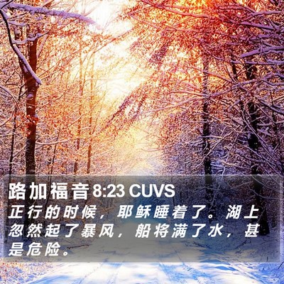 路 加 福 音 8:23 CUVS Bible Verse Image