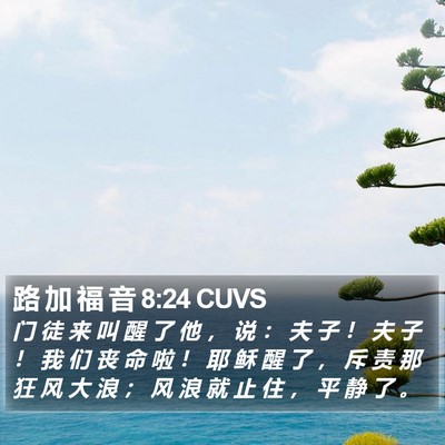 路 加 福 音 8:24 CUVS Bible Verse Image