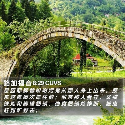 路 加 福 音 8:29 CUVS Bible Verse Image