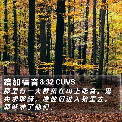 路 加 福 音 8:32 CUVS Bible Verse Image