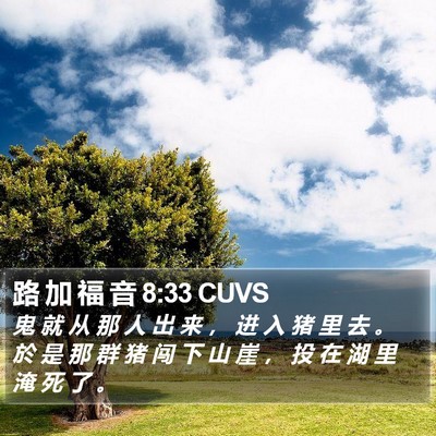 路 加 福 音 8:33 CUVS Bible Verse Image
