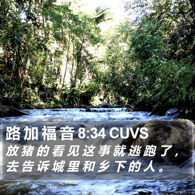路 加 福 音 8:34 CUVS Bible Verse Image