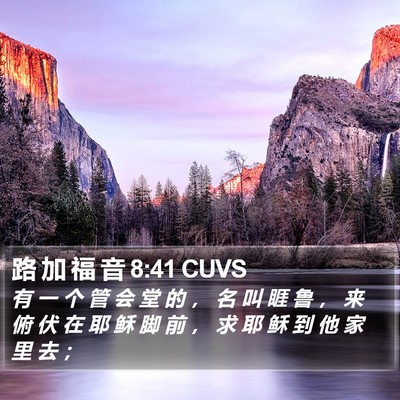 路 加 福 音 8:41 CUVS Bible Verse Image
