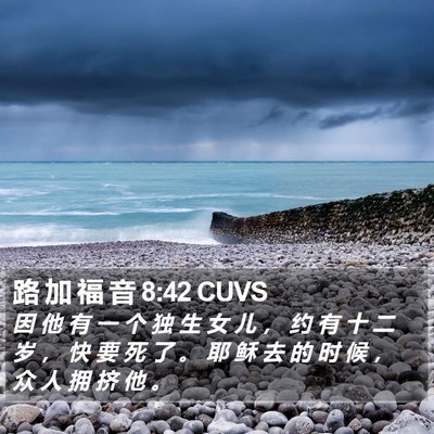 路 加 福 音 8:42 CUVS Bible Verse Image
