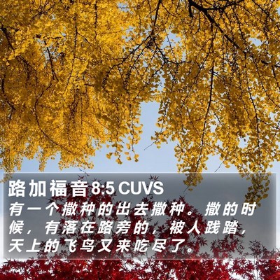 路 加 福 音 8:5 CUVS Bible Verse Image