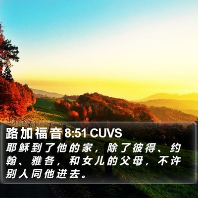 路 加 福 音 8:51 CUVS Bible Verse Image