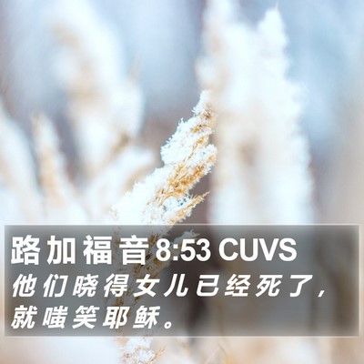 路 加 福 音 8:53 CUVS Bible Verse Image