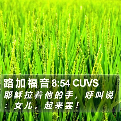 路 加 福 音 8:54 CUVS Bible Verse Image