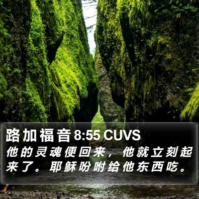 路 加 福 音 8:55 CUVS Bible Verse Image