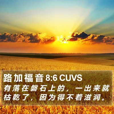 路 加 福 音 8:6 CUVS Bible Verse Image
