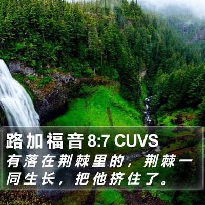 路 加 福 音 8:7 CUVS Bible Verse Image