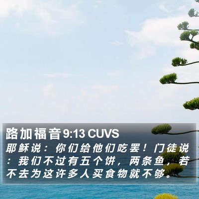 路 加 福 音 9:13 CUVS Bible Verse Image