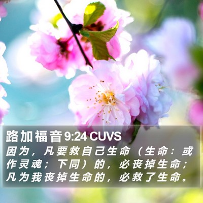 路 加 福 音 9:24 CUVS Bible Verse Image