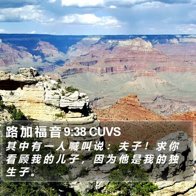 路 加 福 音 9:38 CUVS Bible Verse Image