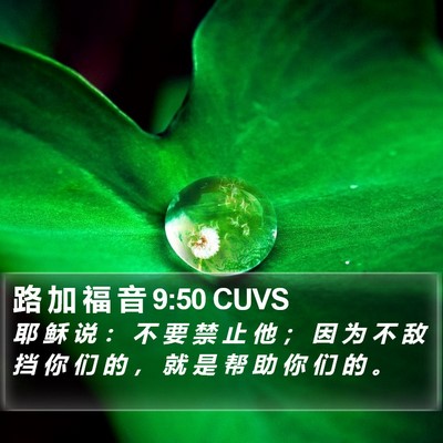 路 加 福 音 9:50 CUVS Bible Verse Image