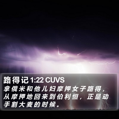 路 得 记 1:22 CUVS Bible Verse Image