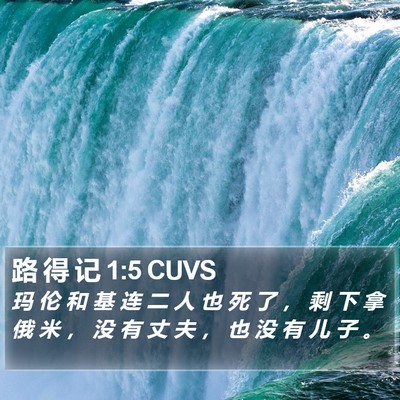 路 得 记 1:5 CUVS Bible Verse Image