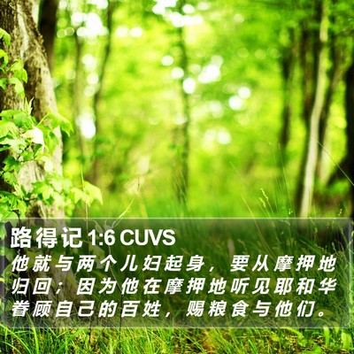 路 得 记 1:6 CUVS Bible Verse Image
