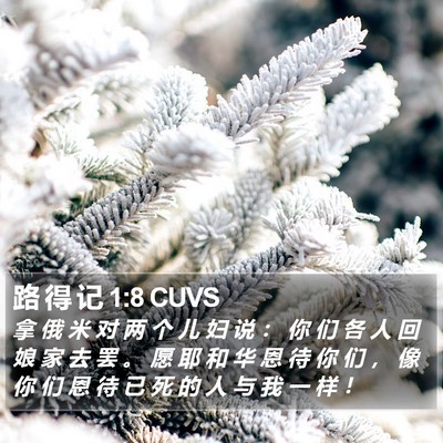 路 得 记 1:8 CUVS Bible Verse Image