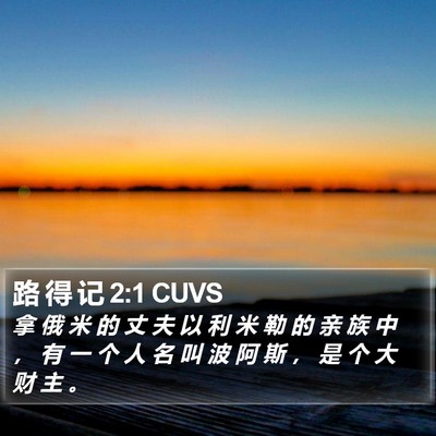 路 得 记 2:1 CUVS Bible Verse Image