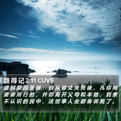 路 得 记 2:11 CUVS Bible Verse Image