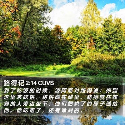 路 得 记 2:14 CUVS Bible Verse Image