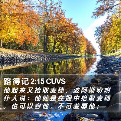 路 得 记 2:15 CUVS Bible Verse Image